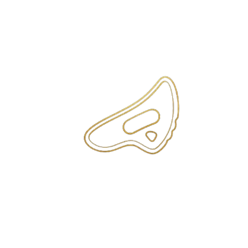 IASTM / Scraping icon